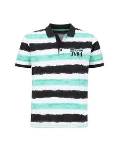 Рубашка-поло КАРИ, бирюзовый Jan vanderstorm