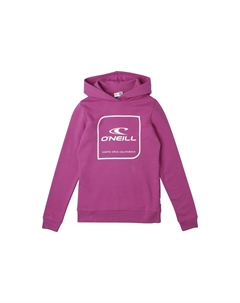 Толстовка ONEILL Cube, фиолетовый O`neill