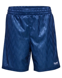 Обычные тренировочные брюки JR, цвет Blue/Navy Hummel