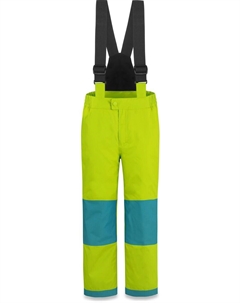 Обычные спортивные брюки Salcha, цвет Lime Normani