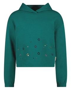 Пуловер с капюшоном, зеленый B.nosy