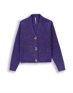 Пуловер, фиолетовый Coccodrillo