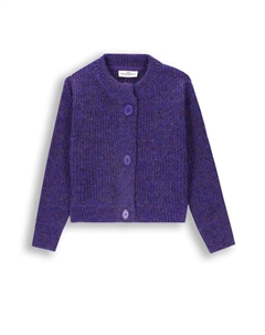 Пуловер, фиолетовый Coccodrillo