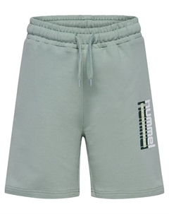 Шорты бермуды, цвет iceberg green Hummel