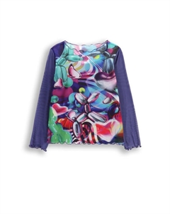 Лонгслив, красочный Coccodrillo