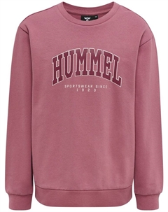 Толстовка, цвет mesa rose Hummel