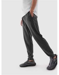 Спортивные брюки стандартного кроя, серый 4f