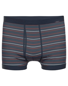 Трусы, морской Ammann