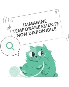 Компактные румяна Defence Color Pretty Touch 310 Raspberry Bionike