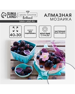 Алмазная мозаика круглыми стразами с частичным заполнением Школа талантов