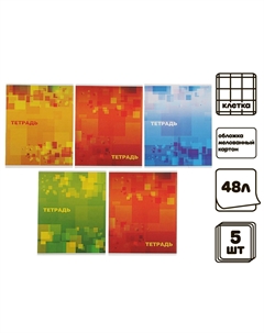 Комплект тетрадей из 5 штук, 48 листов в клетку Calligrata