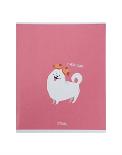 Комплект тетрадей из 5 штук, 48 листов в клетку Calligrata