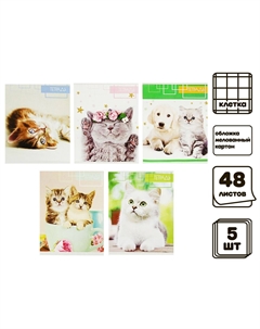 Комплект тетрадей из 5 штук, 48 листов в клетку Calligrata