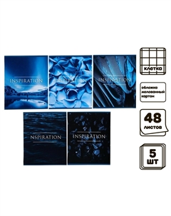 Комплект тетрадей из 5 штук, 48 листов в клетку Calligrata