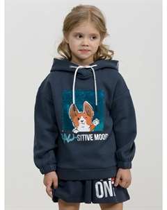 Толстовка Pelican