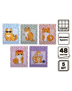 Комплект тетрадей из 5 штук, 48 листов в клетку Calligrata