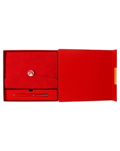 Органайзер на кольцах а6+, 80 листов, кожзам, c клапаном, линия, с ручкой, в подарочной коробке, красный Calligrata