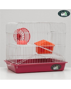 Клетка для грызунов Пижон