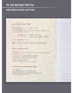 Тетрадь предметная, 48 листов в клетку Calligrata