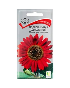 Подсолнечник однолетний «Малиновая королева», 6 г Поиск