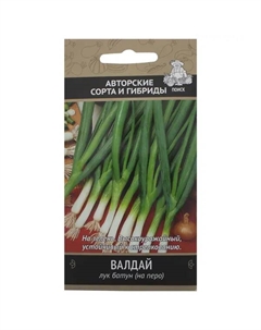 Семена Лук батун «Валдай» Поиск