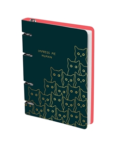 Тетрадь на кольцах "Amazing cats" А5 100 л, картон, матовая ламинация, выборочный УФ-лак Meshu