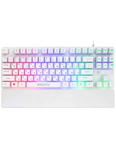 Проводная игровая клавиатура Defender Breath GK-184 RU, белый, радужная, 87 кнопок (45184)