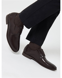 Дерби Salamander