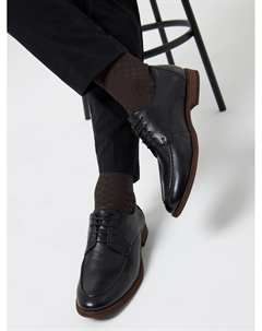 Дерби Salamander