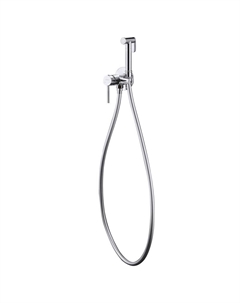 Смеситель с гигиеническим душем встраиваемый Abber Wasser Kreis со скрытой частью в комплекте хром (AF8125)