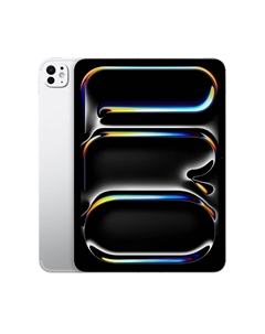 IPad Pro 11 (2024) 2Tb Wi-Fi with Standard glass (Silver) Apple