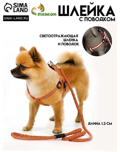 Шлейка с поводком Пижон