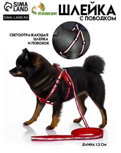 Шлейка с поводком Пижон