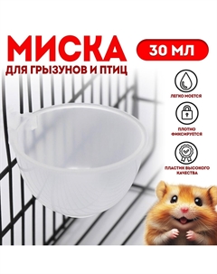 Миска для грызунов и птиц, 30 мл, прозрачная Nobrand