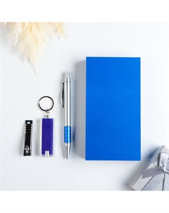 Набор подарочный, 3 предмета: ручка, фонарик, кусачки Nobrand