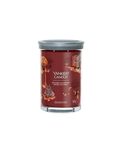Ароматическая свеча Autumn Daydream 567 Yankee candle