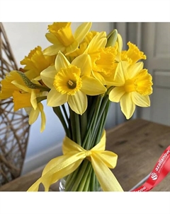 Яркий весенний букет из 9 желтых нарциссов Azalianow цветы. подарки. декор