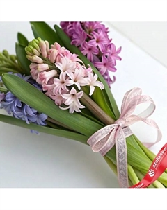 Яркий весенний букет из 5 разноцветных гиацинтов Azalianow цветы. подарки. декор