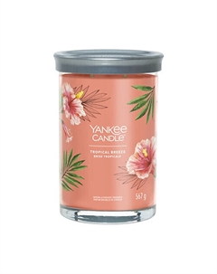Ароматическая свеча Tropica l Breeze 567 Yankee candle