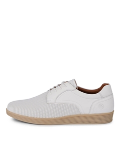 Дерби Salamander