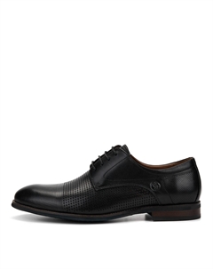 Дерби Salamander