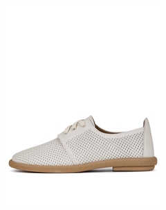 Дерби Salamander