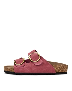 Сабо Thomas munz