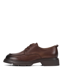 Дерби Salamander