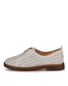 Дерби Salamander