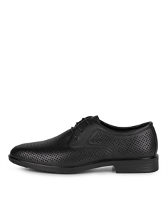 Дерби Salamander