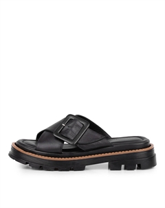 Сабо Thomas munz