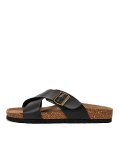 Сабо Thomas munz