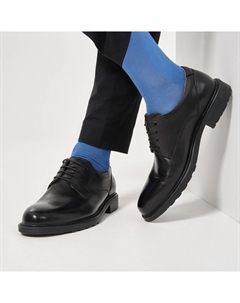 Дерби Salamander