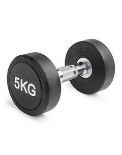 Гантель неразборная круглая 5 кг VF-R050 Victoryfit